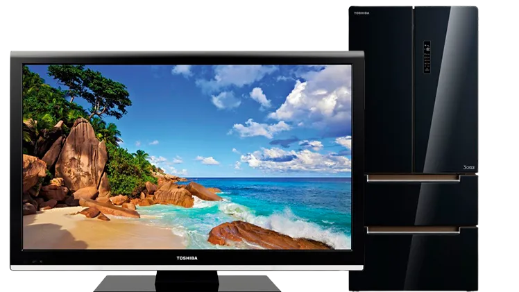 Сервисный центр Toshiba в Нижнекамске
